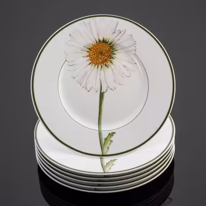 Набор из 6 десертных тарелок из коллекции Flora Country Collection (Marguerite), Villeroy & Boch