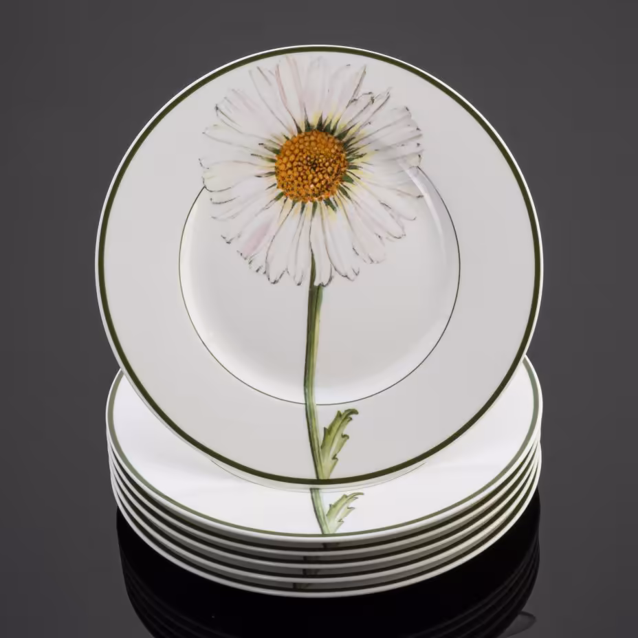 Набор из 6 десертных тарелок из коллекции Flora Country Collection (Marguerite), Villeroy & Boch