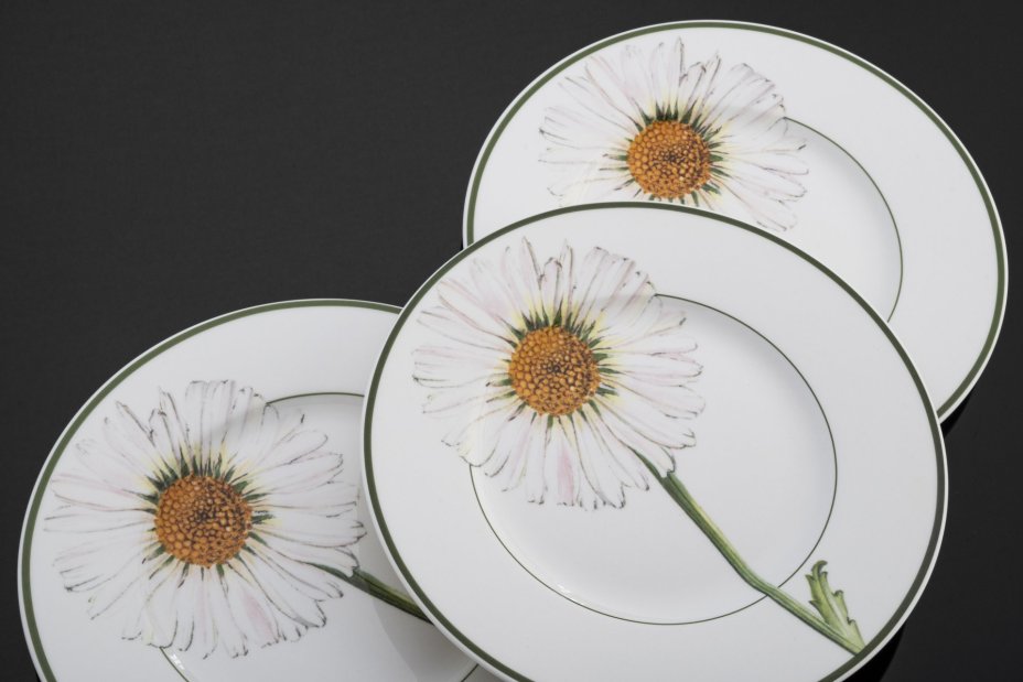 Набор из 6 десертных тарелок из коллекции Flora Country Collection (Marguerite), Villeroy & Boch