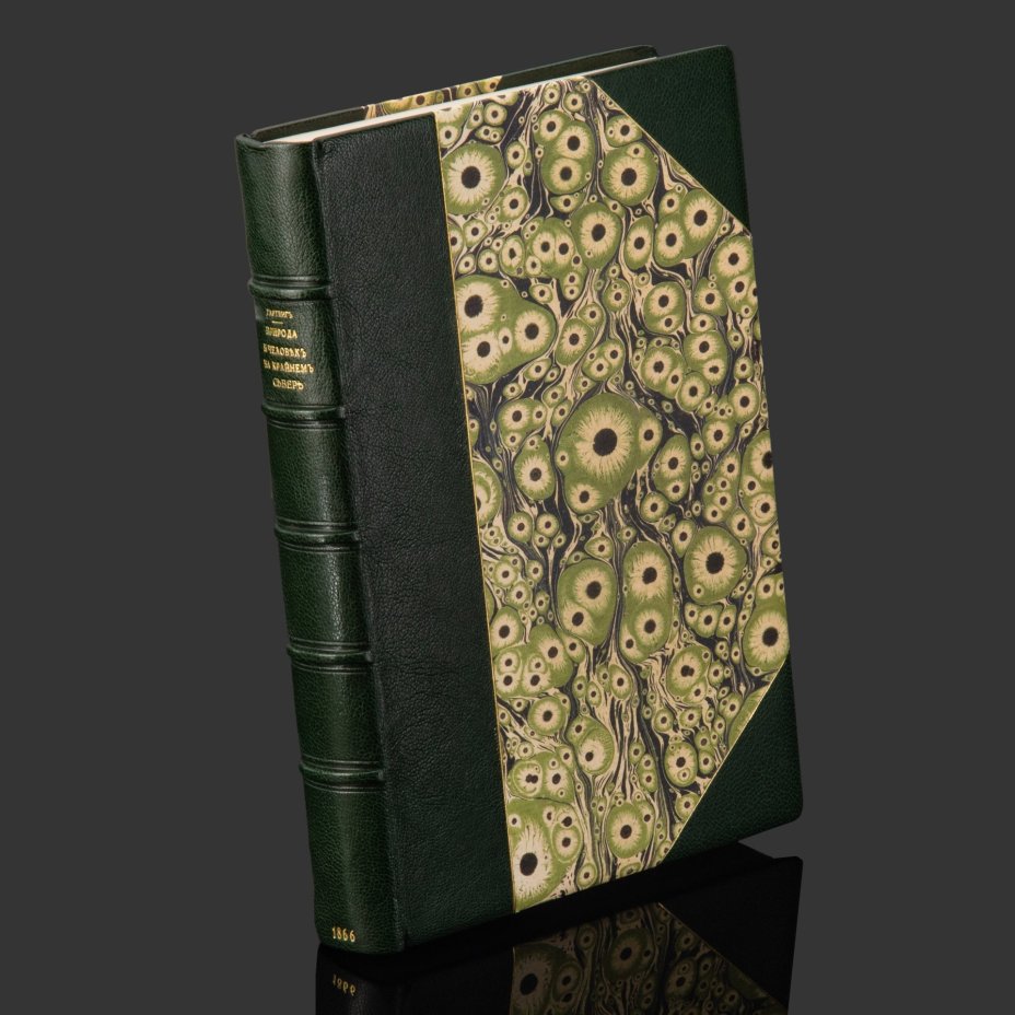 Книга Гартвиг Георг "Природа и человек на Крайнем Севере" в подарочном кофре, Изд. книгопродавца А.И. Глазунова