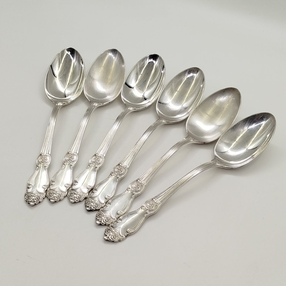 Набор из 6-ти столовых ложек с растительным декором
