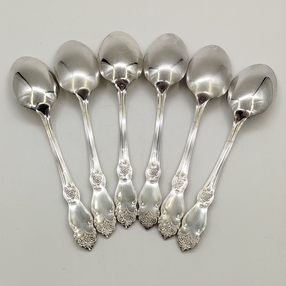 Набор из 6-ти столовых ложек с растительным декором