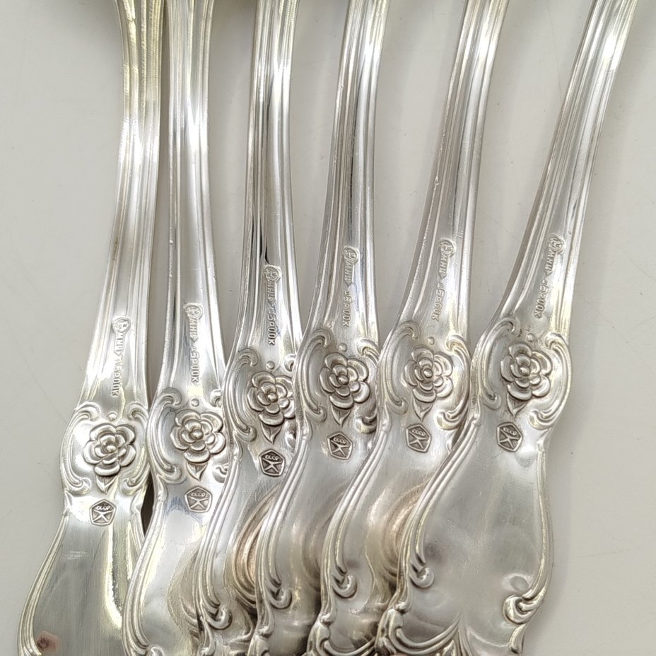 Набор из 6-ти столовых ложек с растительным декором