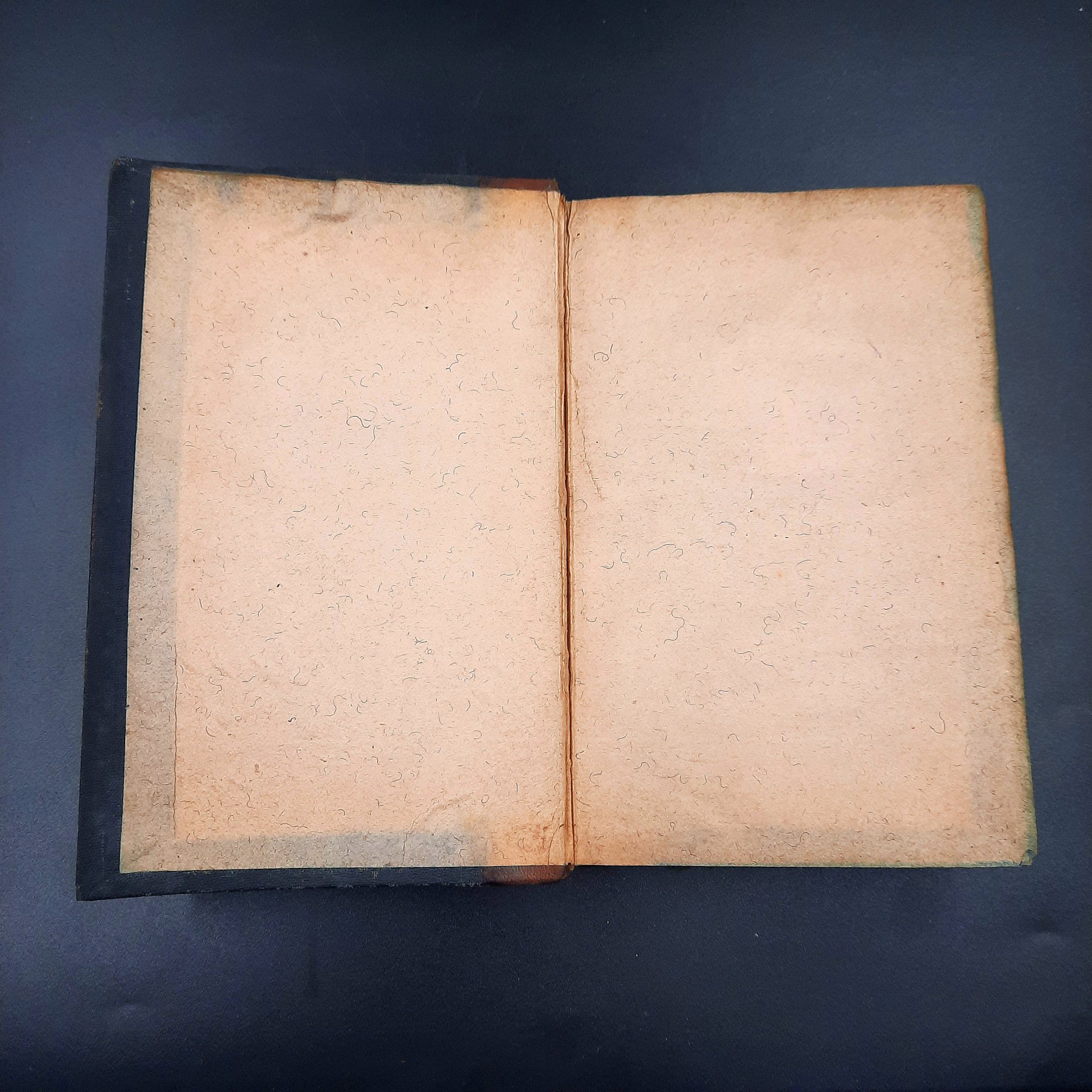 Книга "Le médecin de campagne" ("Сельский врач"), автор Оноре де Бальзак, бумага, печать, кожаный корешок