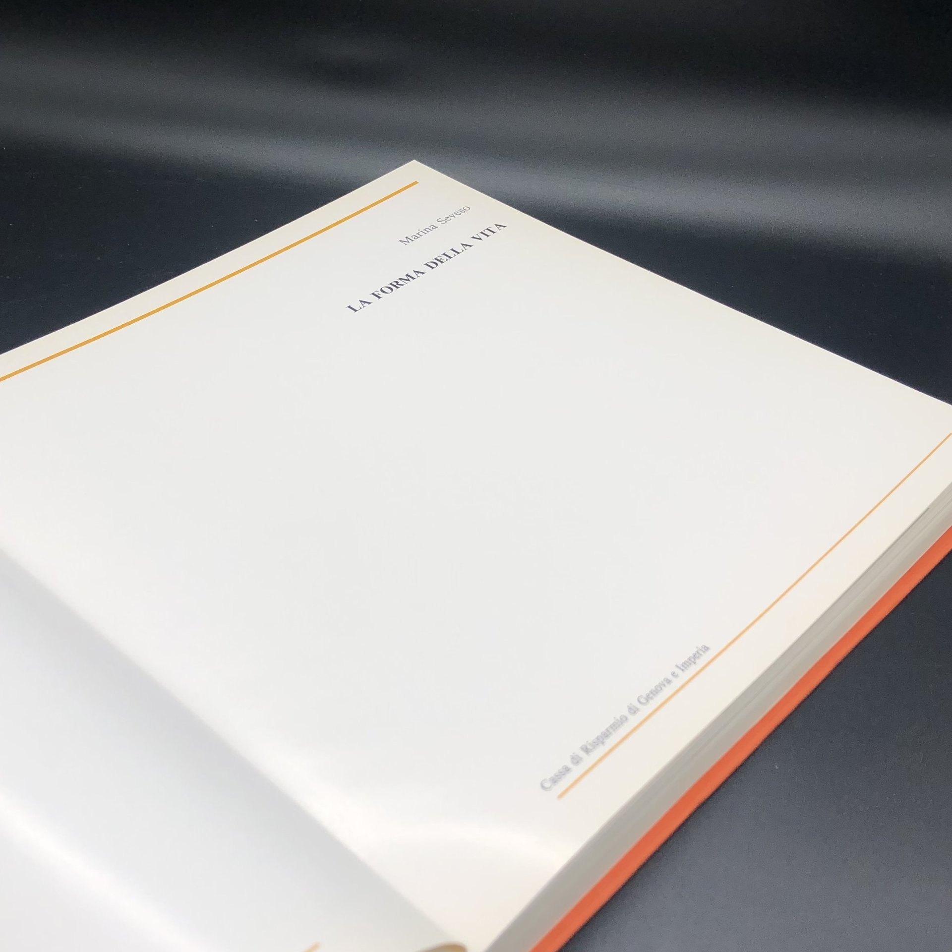 Книга с иллюстрациями в суперобложке "La forma della vita" Marina Seveso ("Форма жизни" на итальянском языке)