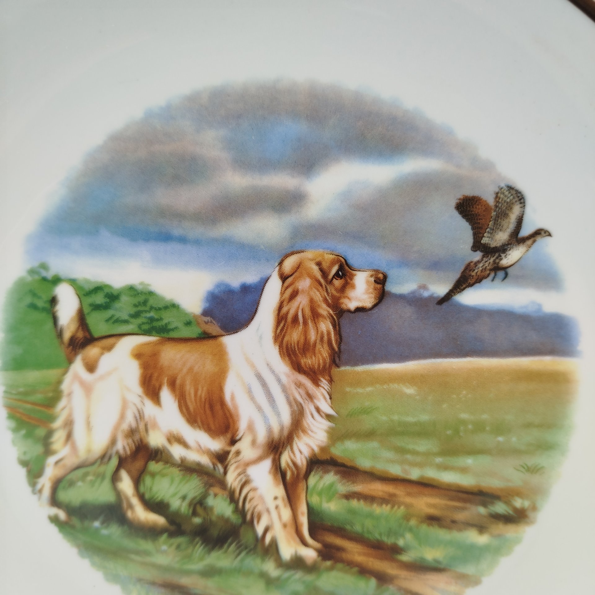 Тарелка декоративная настенная "Спаниель", фарфор, деколь, Дмитровский фарфоровый завод (ДФЗ Вербилки), СССР, 1965-1991 гг.