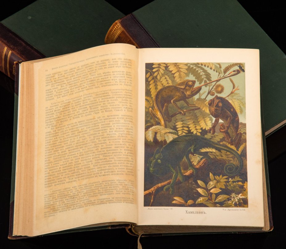 Брэм Альфред Эдмунд «Жизнь животных» (тома 1-3), бумага, печать, полукожаный переплёт, тиснение, золочение, Книгоиздательское товарищество «Просвещение», Российская империя, 1902-1903 гг.