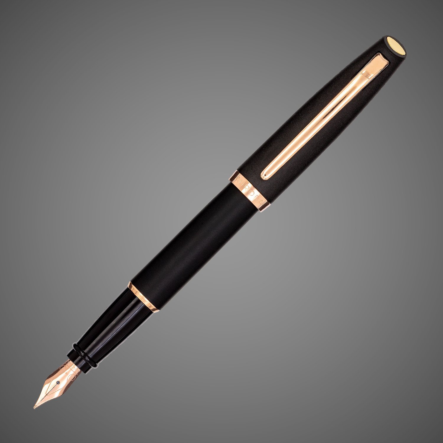 Перьевая ручка Aurora Style Resina Matt Black PGT, перо - F, в подарочной коробке, Драгметаллы: позолота, позолота, смола