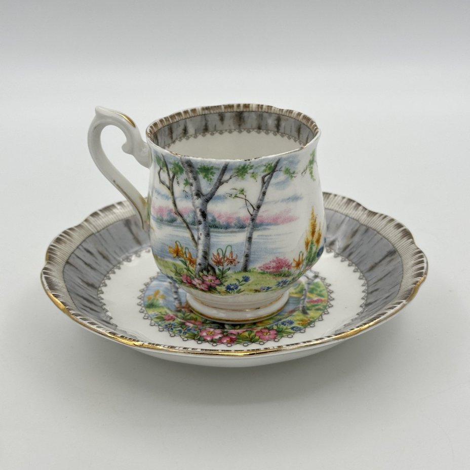 [Редкий декор] Кофейная пара "Silver Birch" ("Серебряная берёза"), Royal Albert