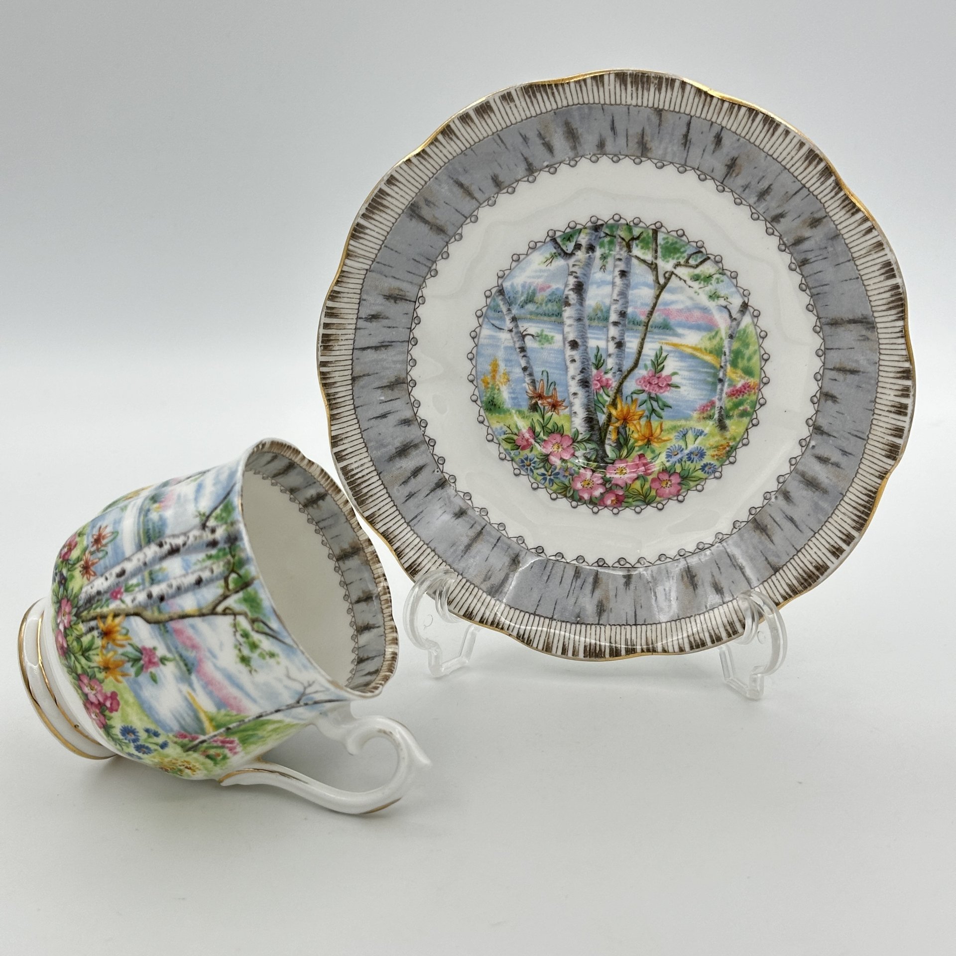 [Редкий декор] Кофейная пара "Silver Birch" ("Серебряная берёза"), Royal Albert