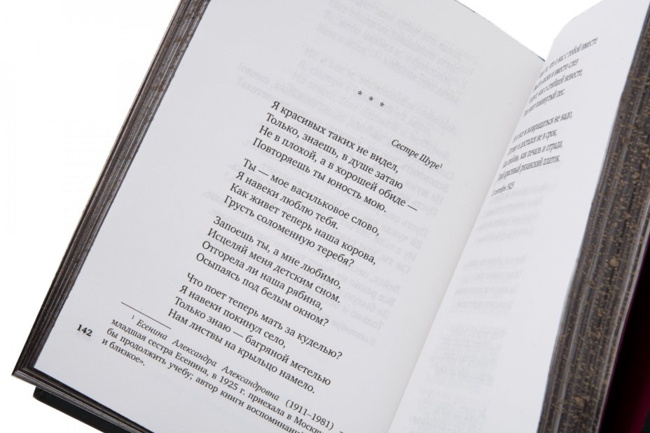 Книга Сергей Есенин "Исповедь хулигана" подарочное издание, издательство "Азбука", кожаный переплет, Издательство «Азбука»