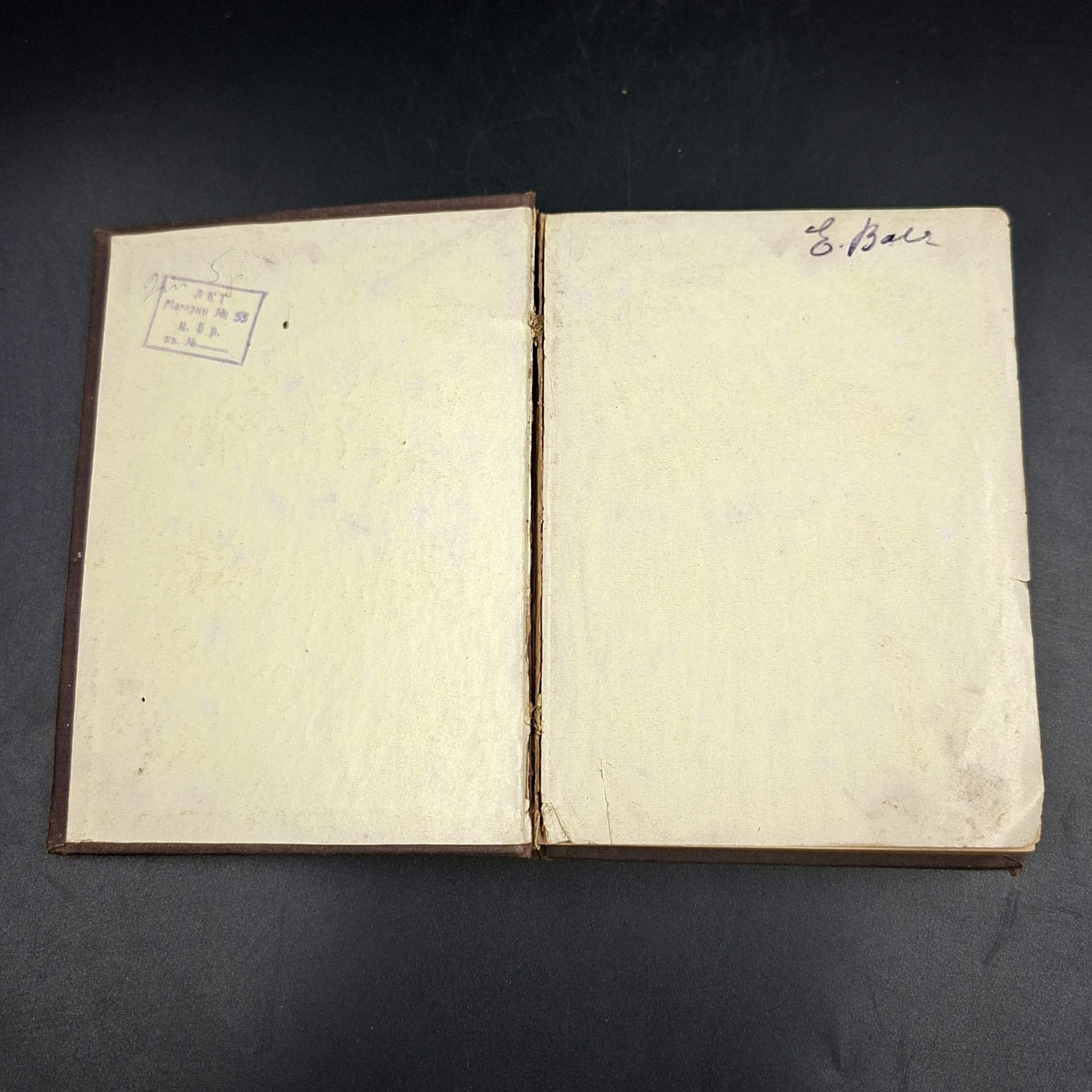 Фрезе Юлиус "Жизнь и произведения Гёте" ("Goethes Leben und Werke"), на немецком языке