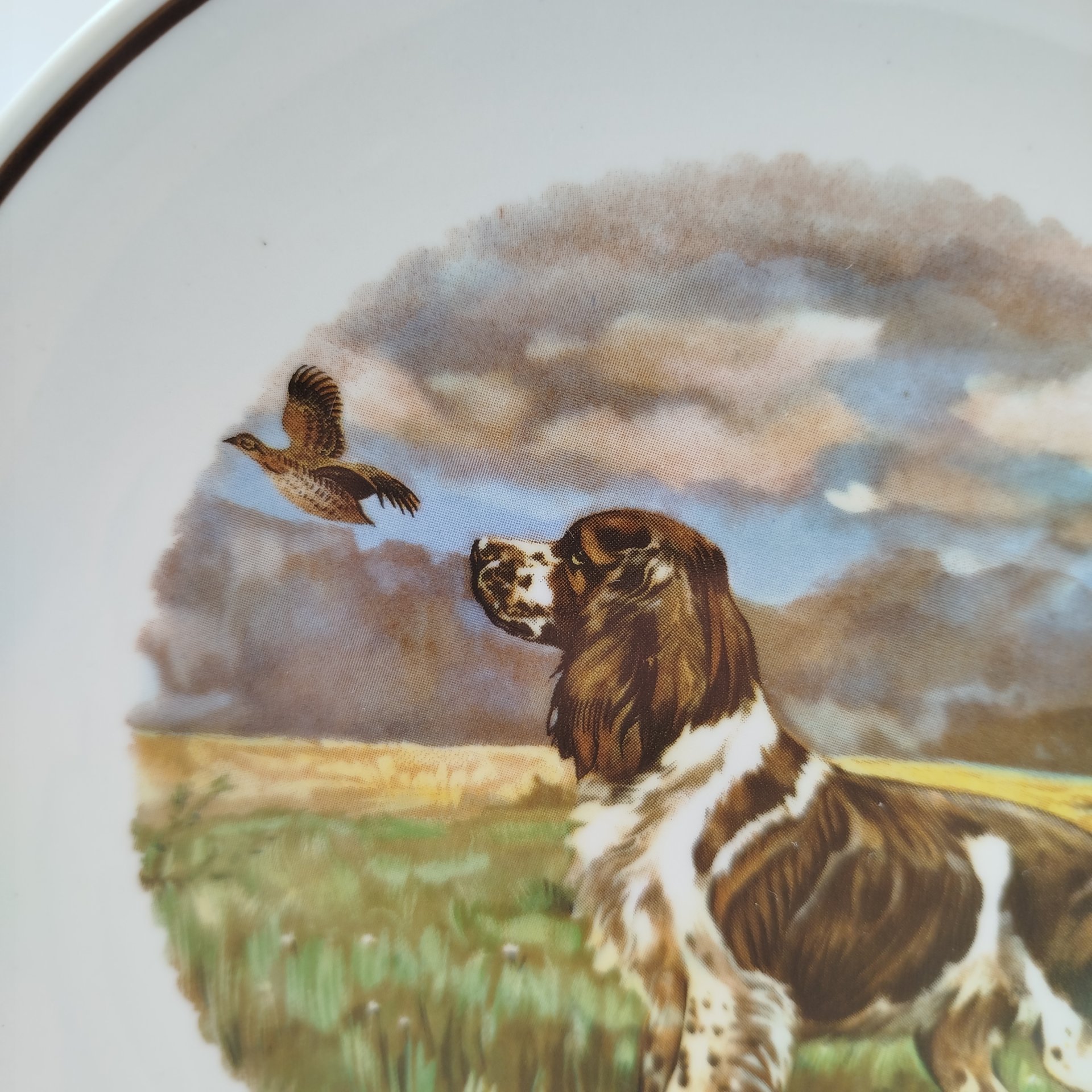 Тарелка декоративная настенная "Спаниель", фарфор, деколь, Дмитровский фарфоровый завод (ДФЗ Вербилки), СССР, 1965-1991 гг.