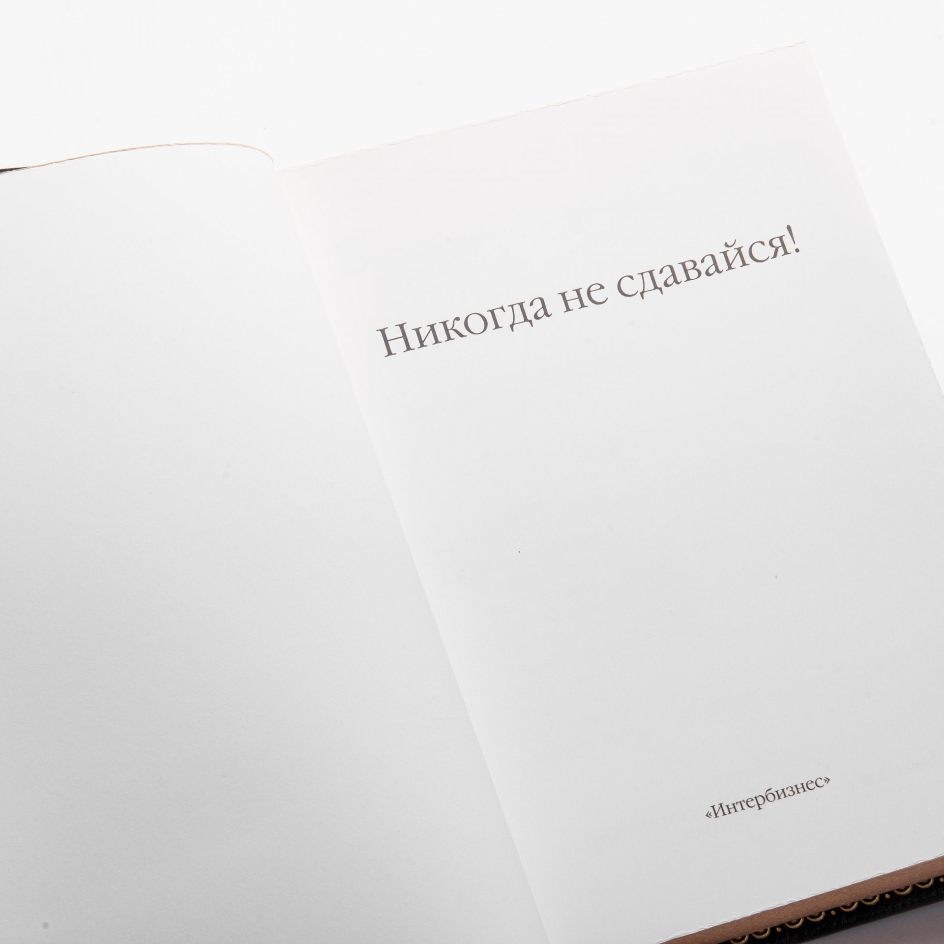 Подарочное издание "Никогда не сдавайся!", кожа, бумага, латунь, ручная  работа, изд. "Ламартис", Россия, 2010 г.