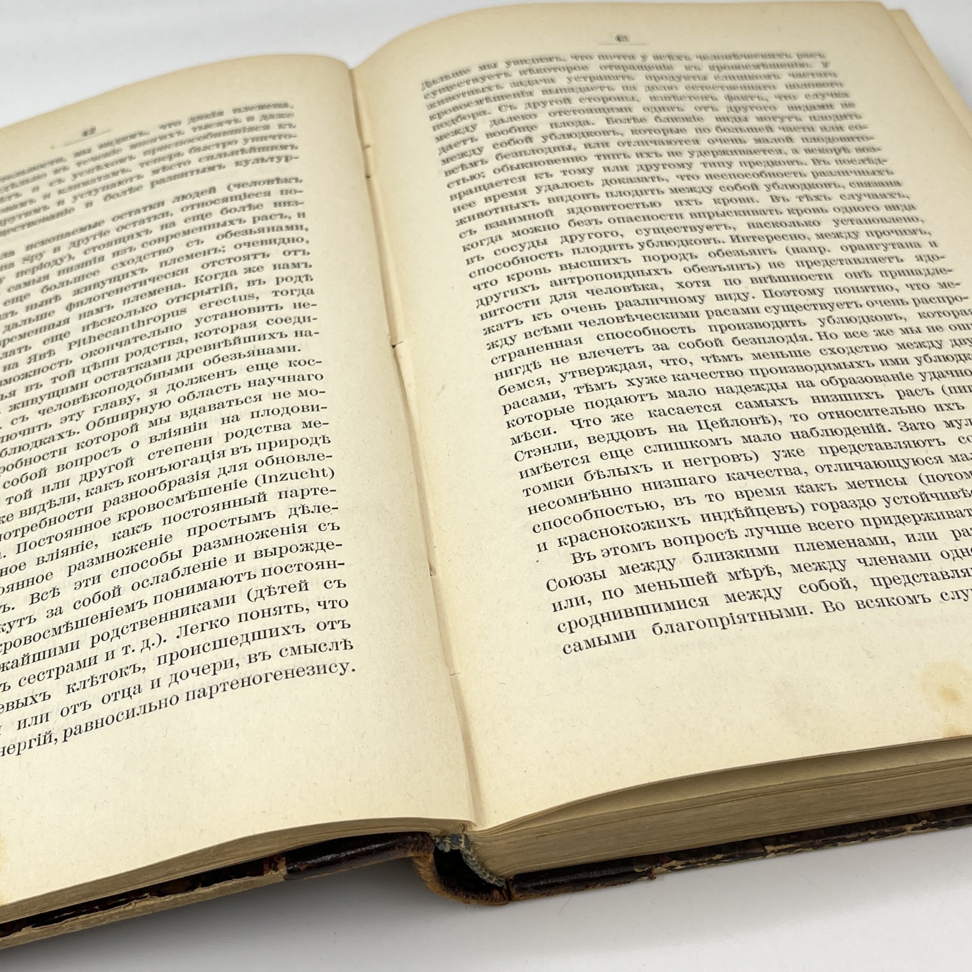 Август Форель "Половой вопрос", выпуск 1, бумага, печать, кожа, тиснение, Издание А.С. Суворина, Российская империя, 1906 г.