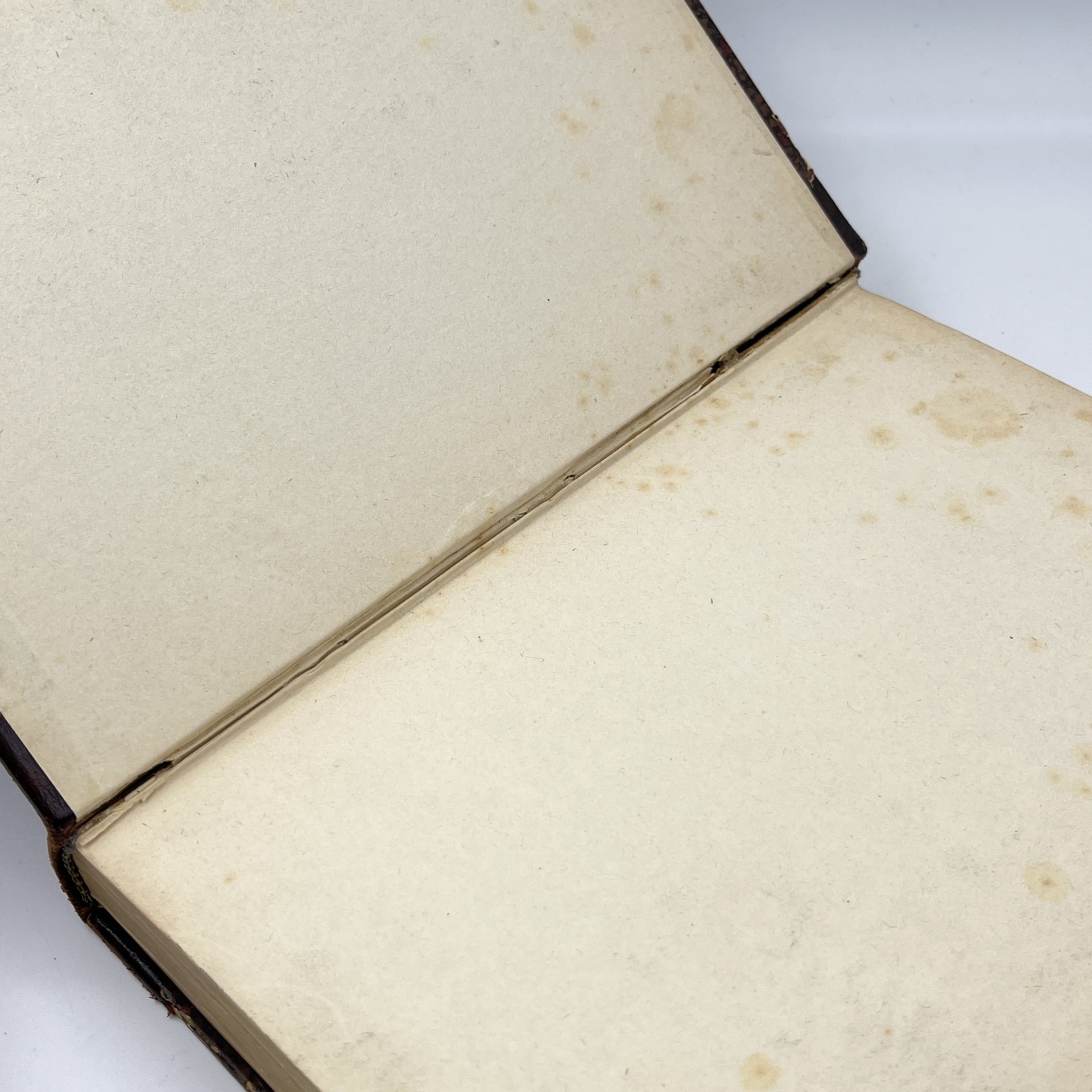 Август Форель "Половой вопрос", выпуск 1, бумага, печать, кожа, тиснение, Издание А.С. Суворина, Российская империя, 1906 г.