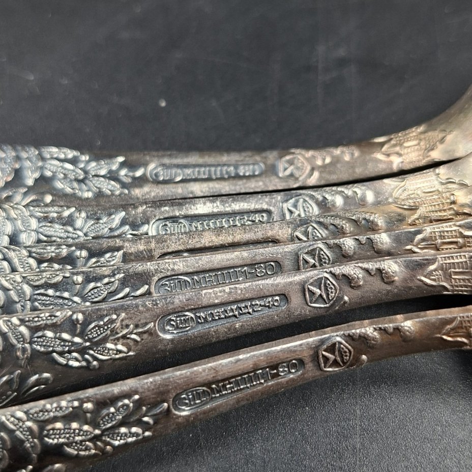 Набор из шести чайных ложек с растительным декором, мНЦ (медь-никель-цинк), Вольнянский завод столовых приборов им. Шевченко (ЗiШ, ЗиШ), СССР, 1960-1980 гг.