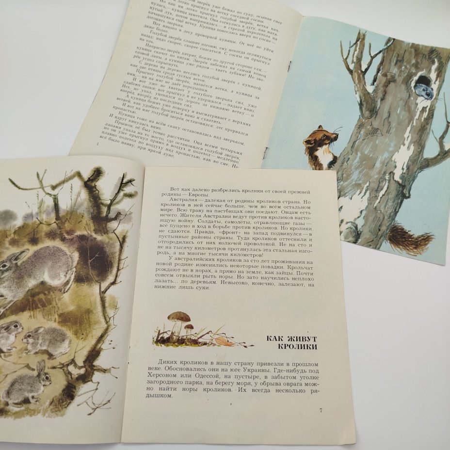 Набор из 5-ти детских книг (Ю. Казаков "Арктур-гончий пёс", В. Бианки "Голубой зверёк", И. Акимушкин "Чем кролик на зайца не похож", И. Соколов-Микитов "Весна-красна", чукотская сказка "Хочу кочевать-не хочу кочевать"), Издательство "Малыш"