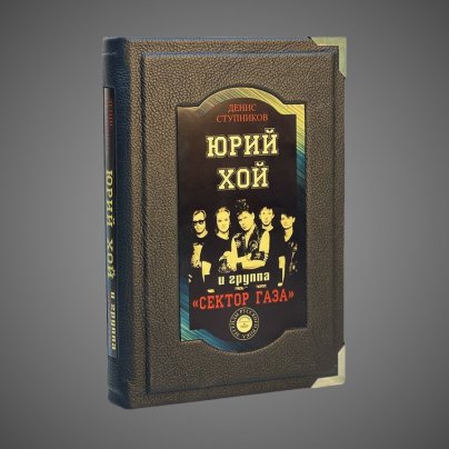 Юрий Хой и группа "Сектор Газа"