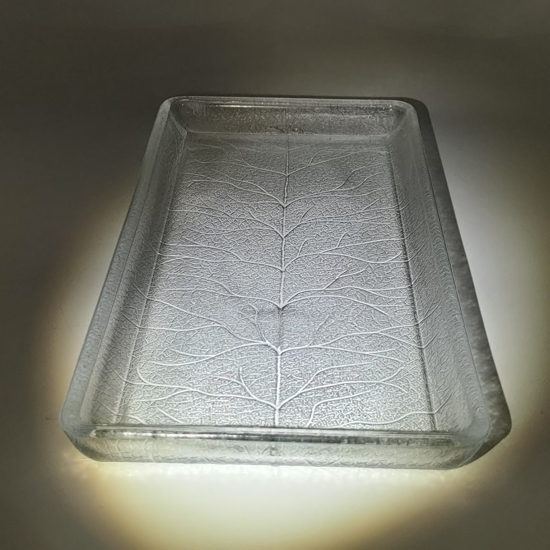 Поднос прямоугольной формы с растительным декором