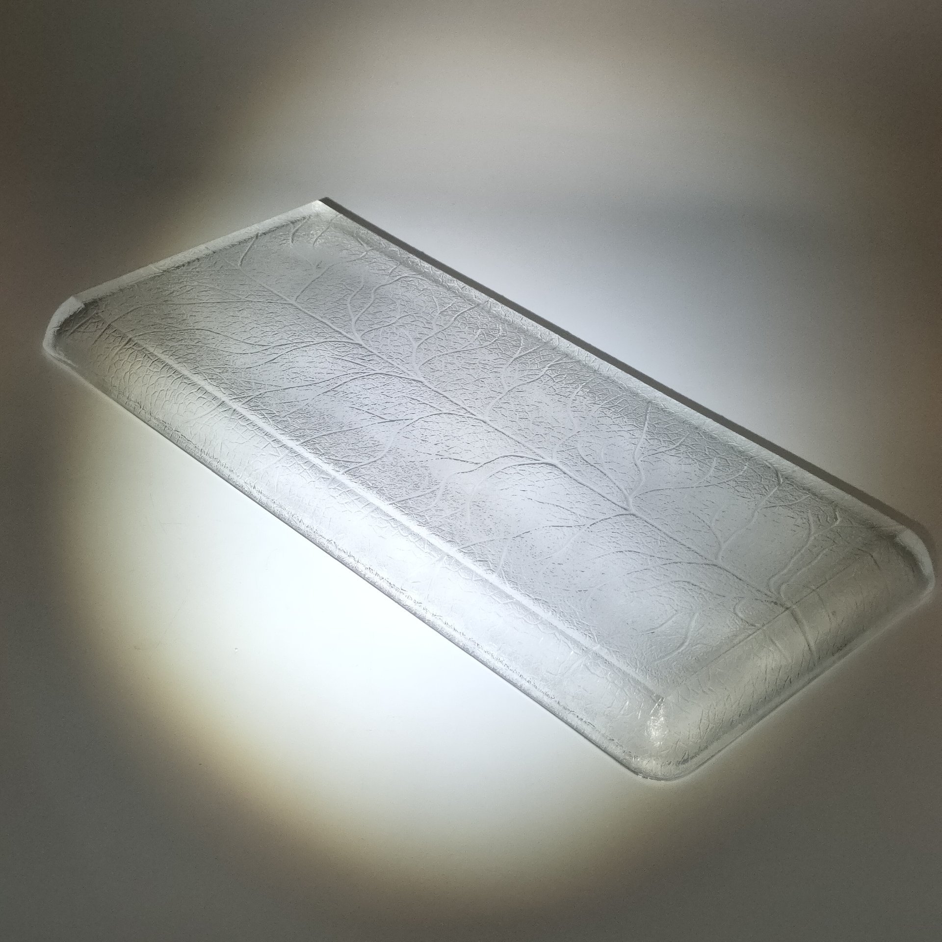 Поднос прямоугольной формы с растительным декором