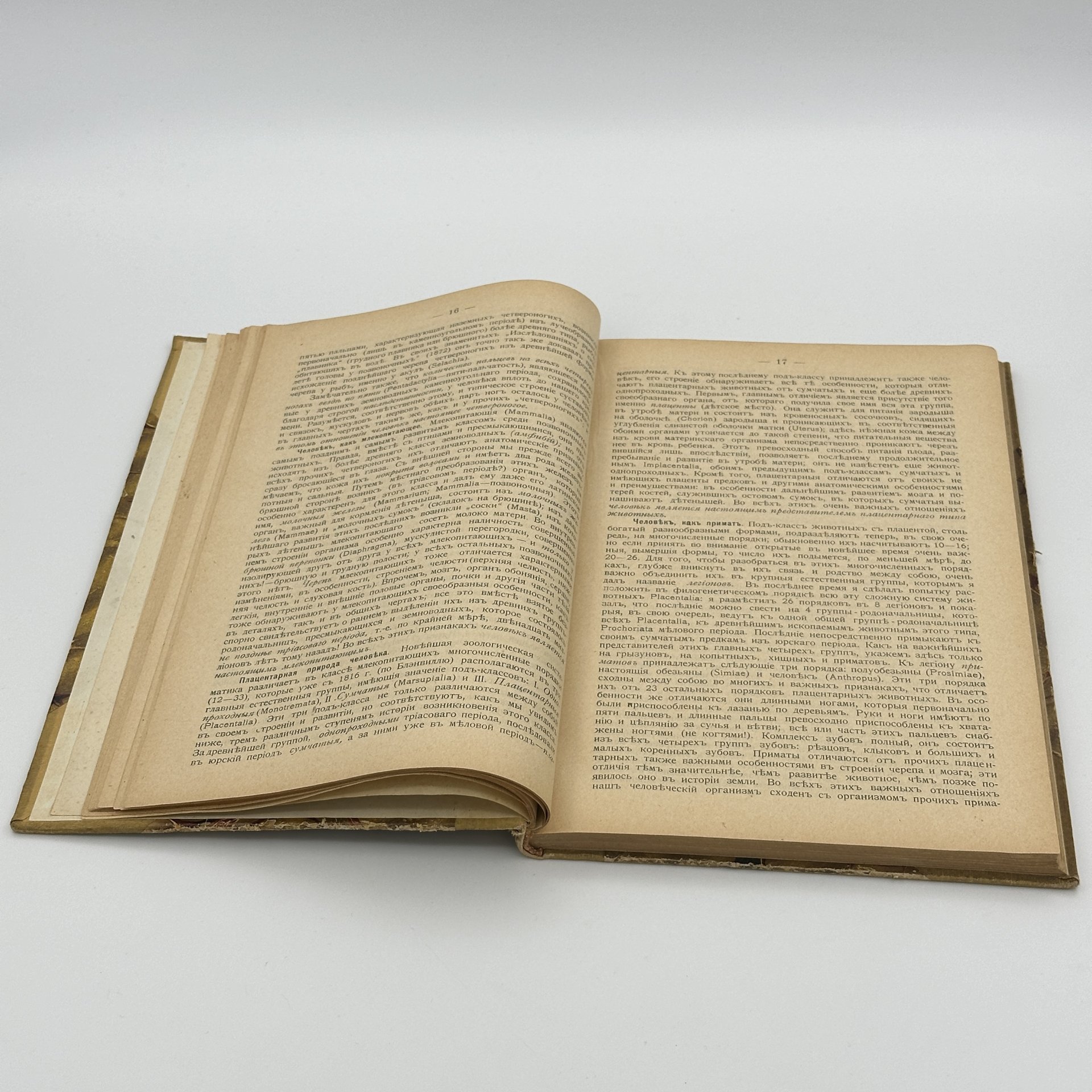 Книга Э. Геккель "Мировые Загадки", Книгоиздательство "Мысль". А. Миллер, Лейпциг-С.-Петербург