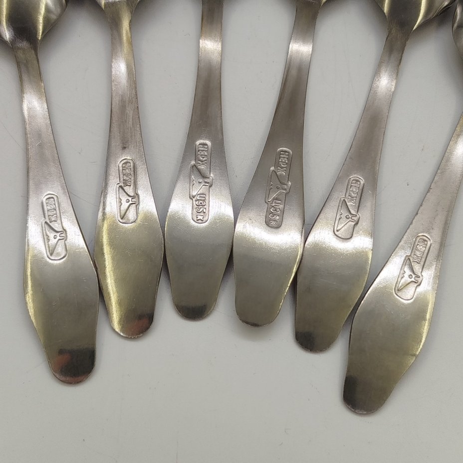 Набор из 6-ти кофейных ложек, украшенных растительным декором, Нытвенский металлургический завод, нержавеющая сталь