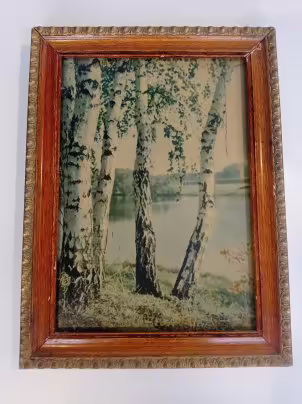 Фото П. Одикадзе "Березки", бумага, картон, дерево, стекло, печать, Издательство политической литературы (Политиздат), Издательство политической литературы (Политиздат)