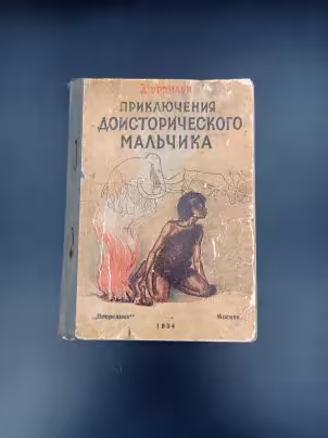 Книга Э. д'Эрвильи "Приключения доисторического мальчика", издательство "Посредник"