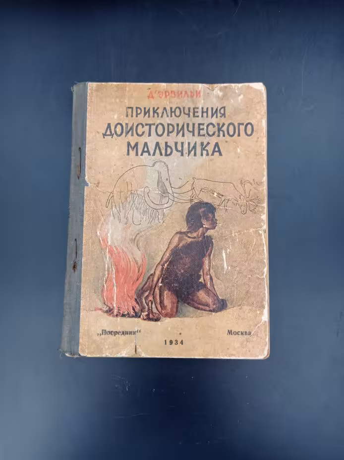 Книга Э. д'Эрвильи "Приключения доисторического мальчика", издательство "Посредник"
