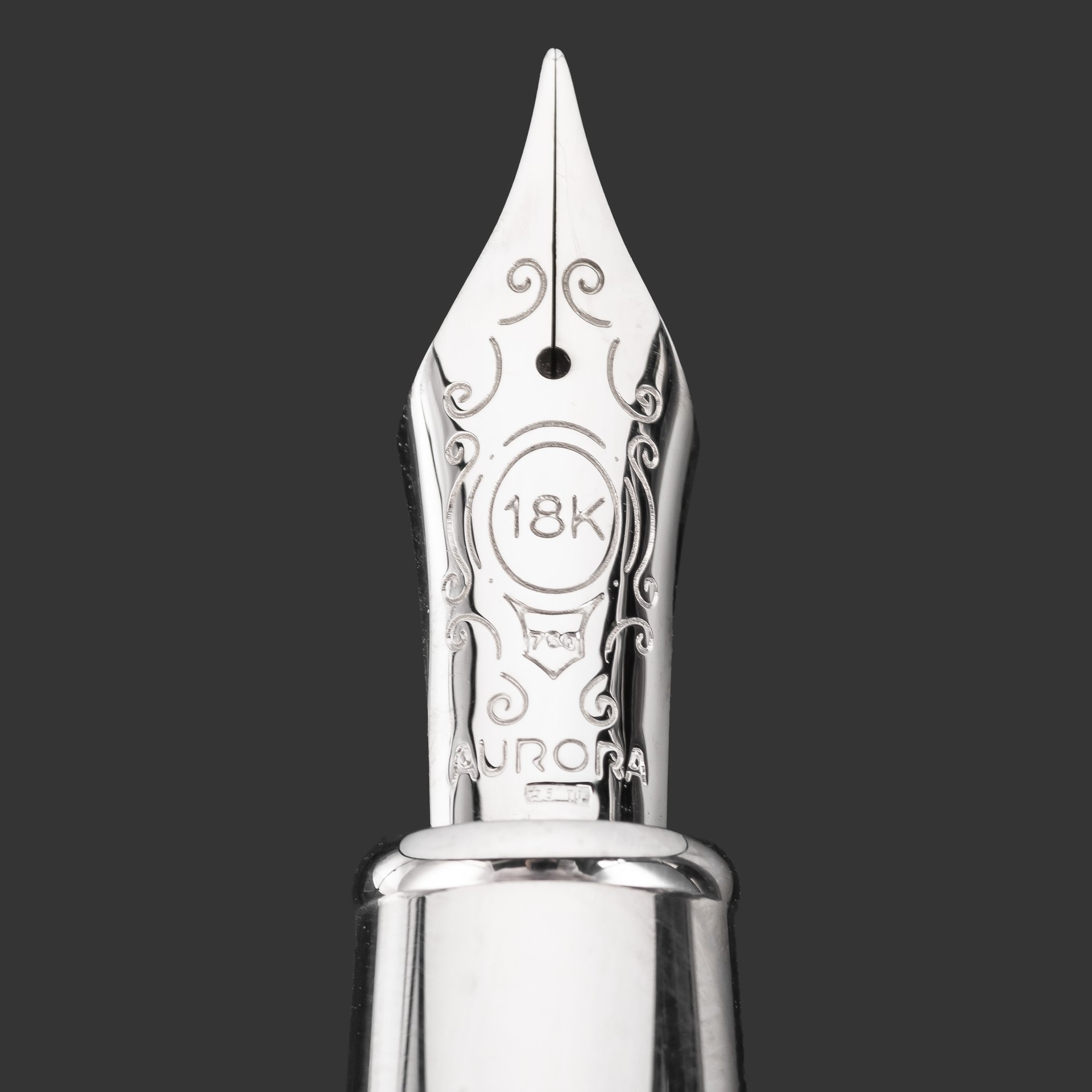 Ручка перьевая "Aurora Mappe Antiche" (Древние карты Авроры), в подарочной коробке