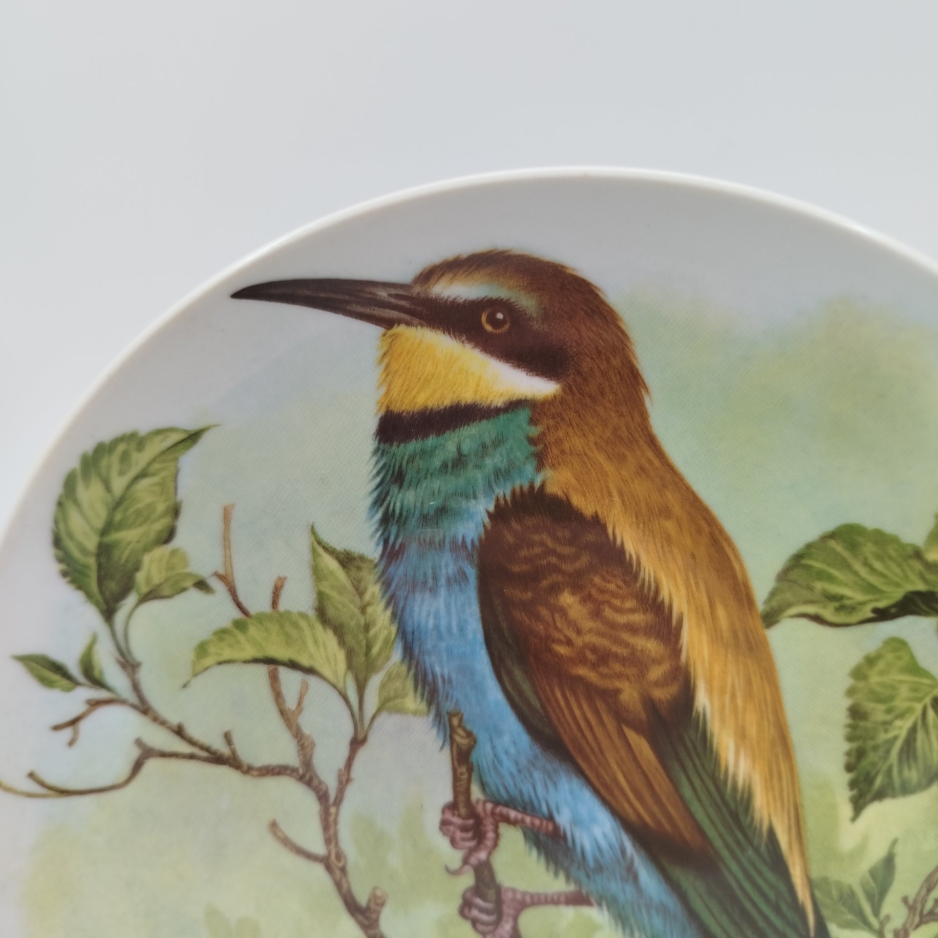 Тарелка декоративная настенная "Золотистая щурка", фарфор, деколь, Дмитровский фарфоровый завод (ДФЗ Вербилки), СССР, 1965-1991 гг.