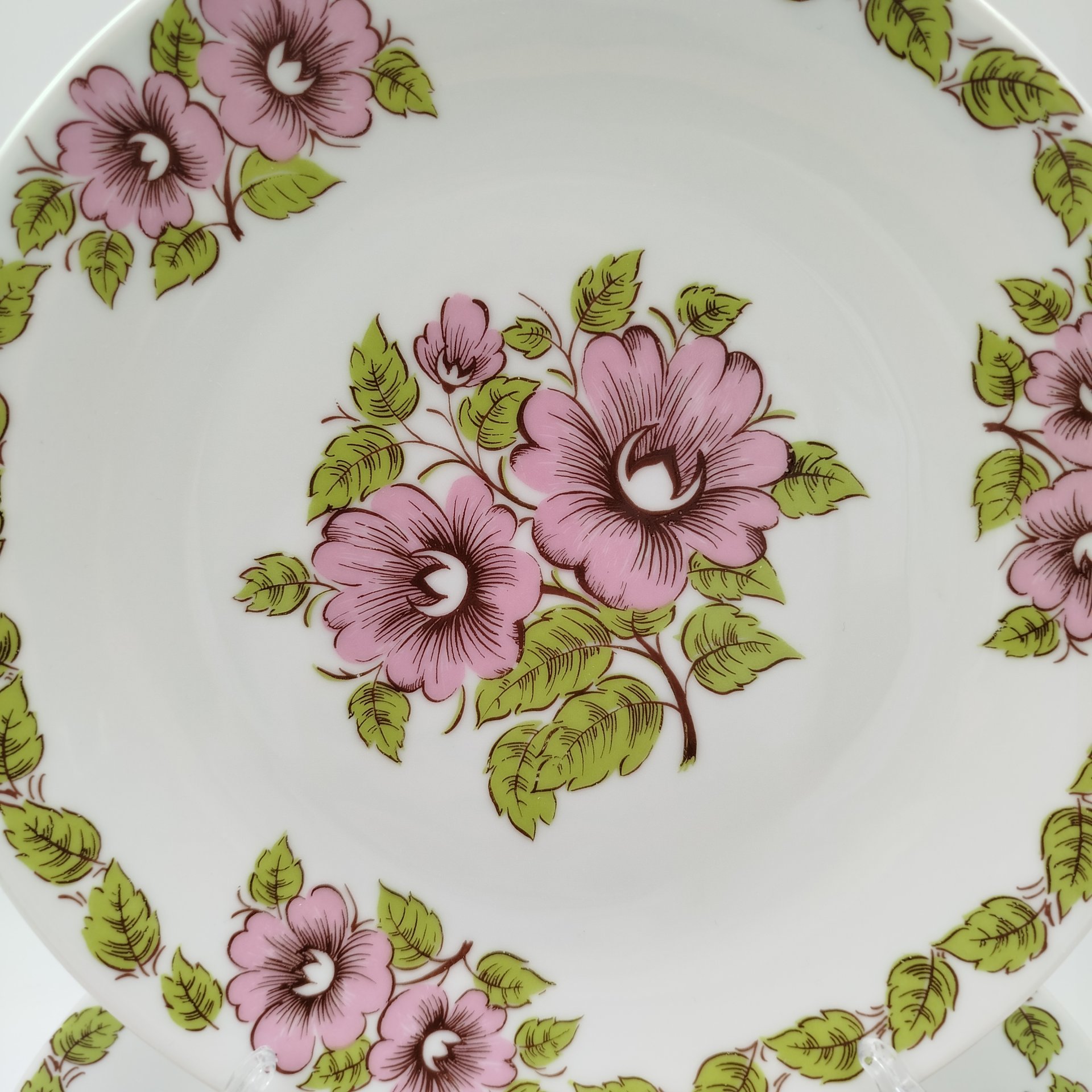 Набор из шести обеденных тарелок с цветочным декором в розово-зеленой гамме
