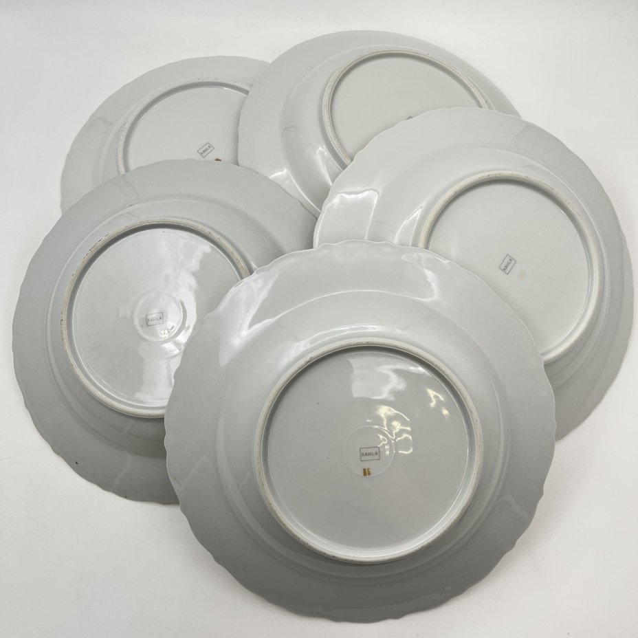 Набор из 5-ти суповых тарелок с цветочным декором и рельефным бортом