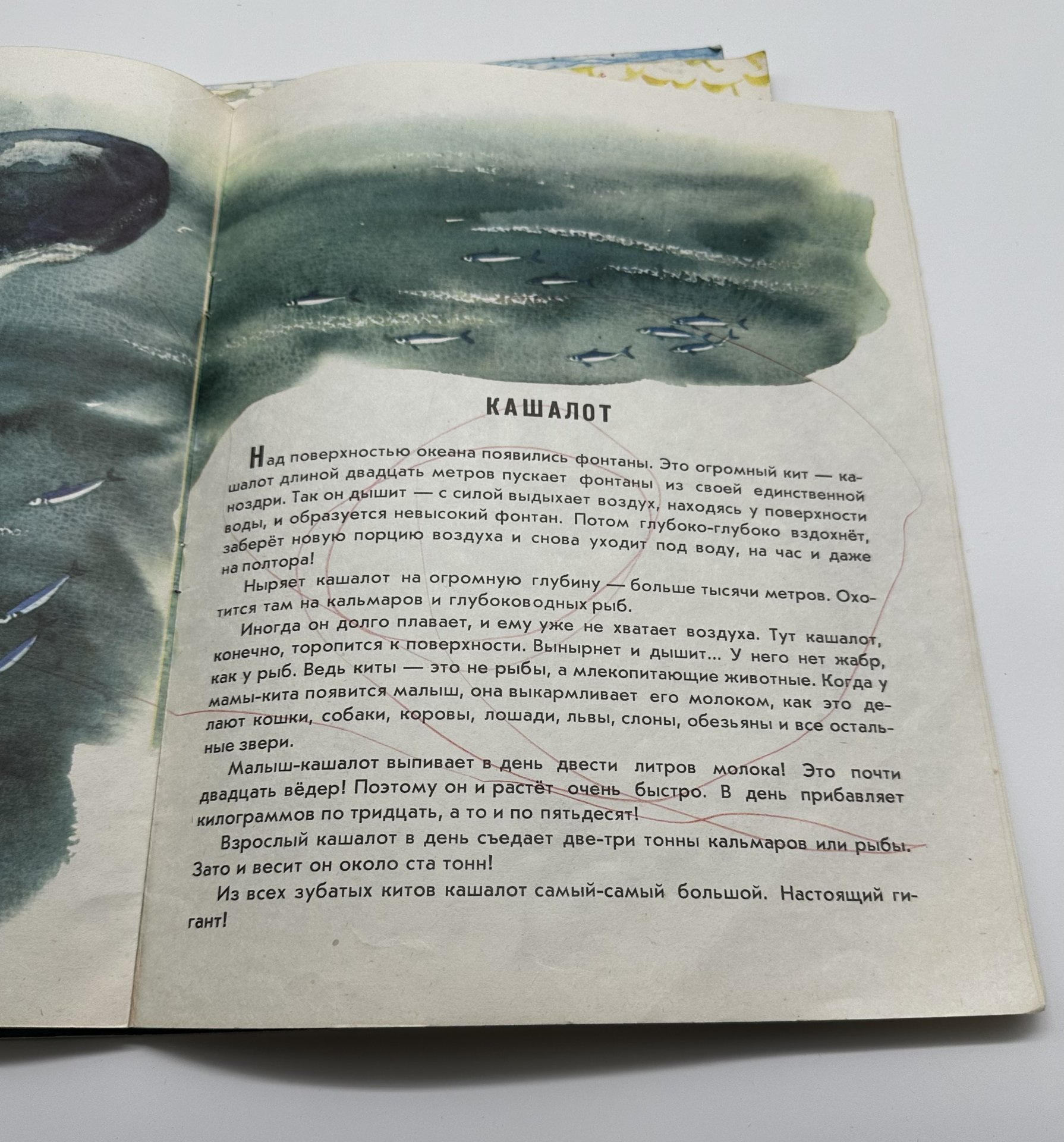 Комплект (в подборе) из четырёх детский книг "Море", издательство "Малыш", бумага, мягкая обложка, цветные иллюстрации
