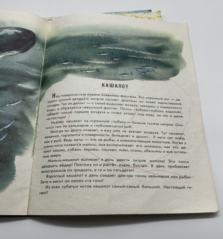 Комплект (в подборе) из четырёх детский книг "Море", издательство "Малыш", бумага, мягкая обложка, цветные иллюстрации