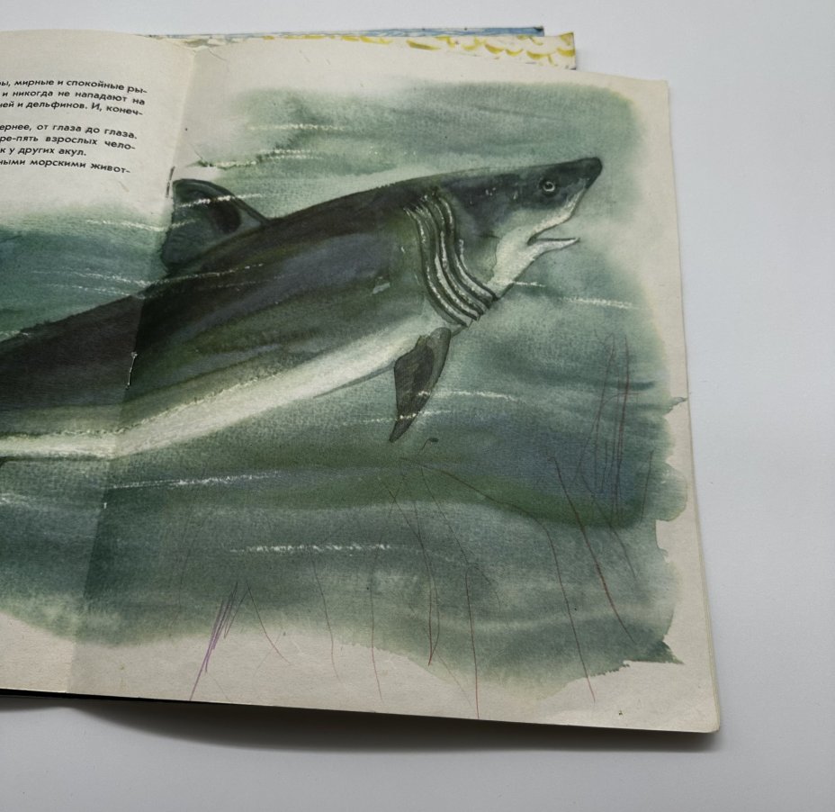 Комплект (в подборе) из четырёх детский книг "Море", издательство "Малыш", бумага, мягкая обложка, цветные иллюстрации