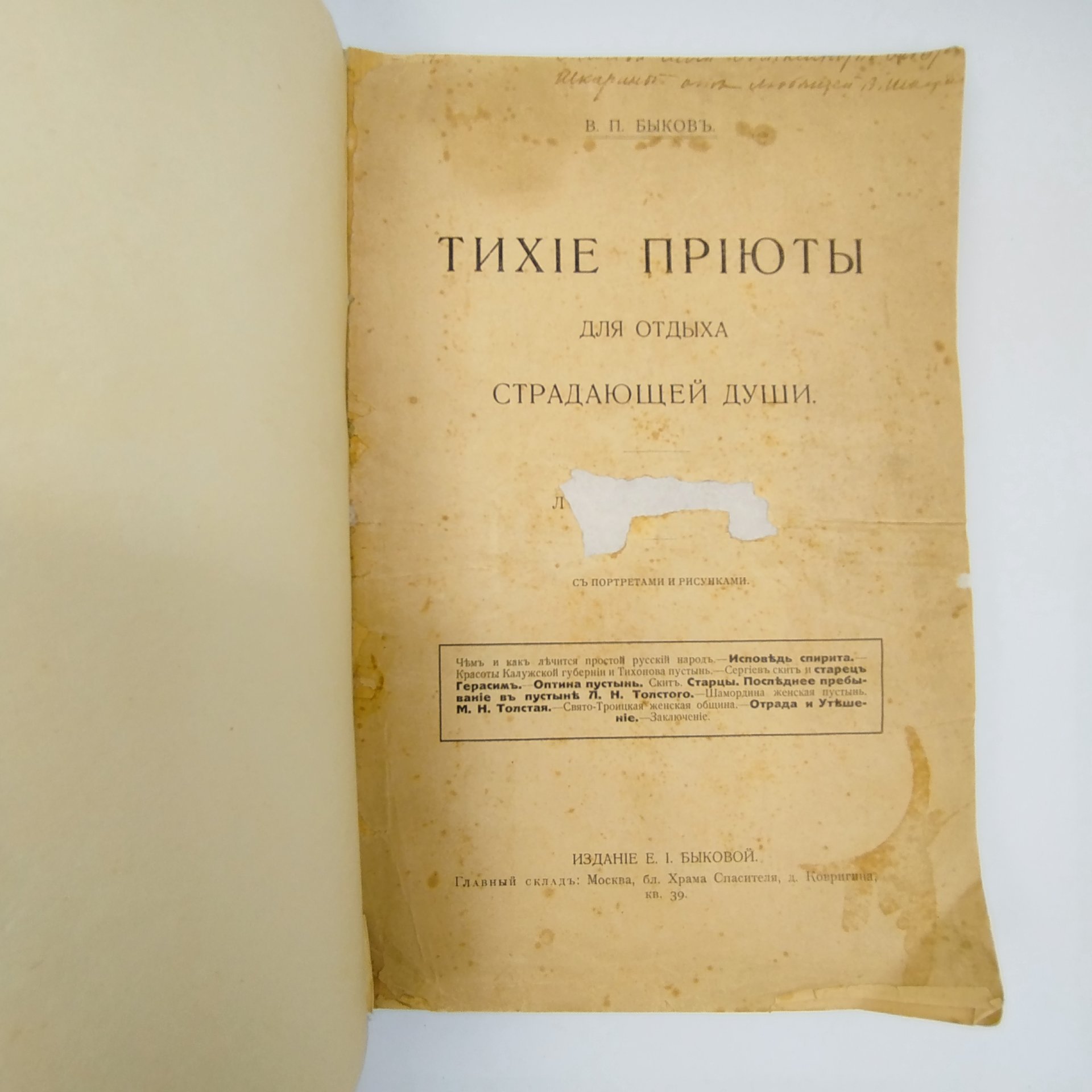Быков В.П. "Тихие приюты для отдыха страдающей души"