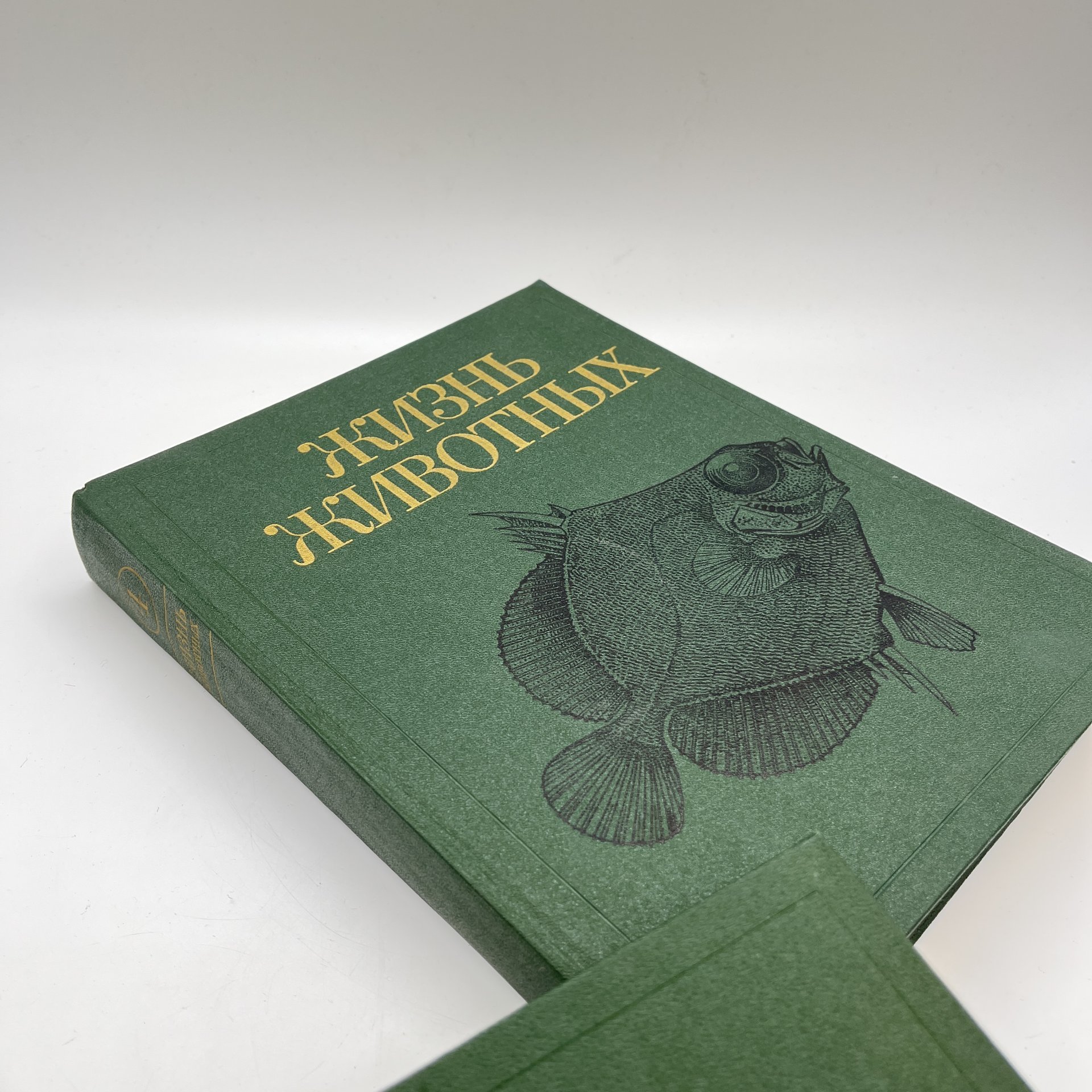 Книга "Жизнь животных", тома 3, 4, бумага, печать, Издательство «Просвещение», СССР, 1983-1984 гг.