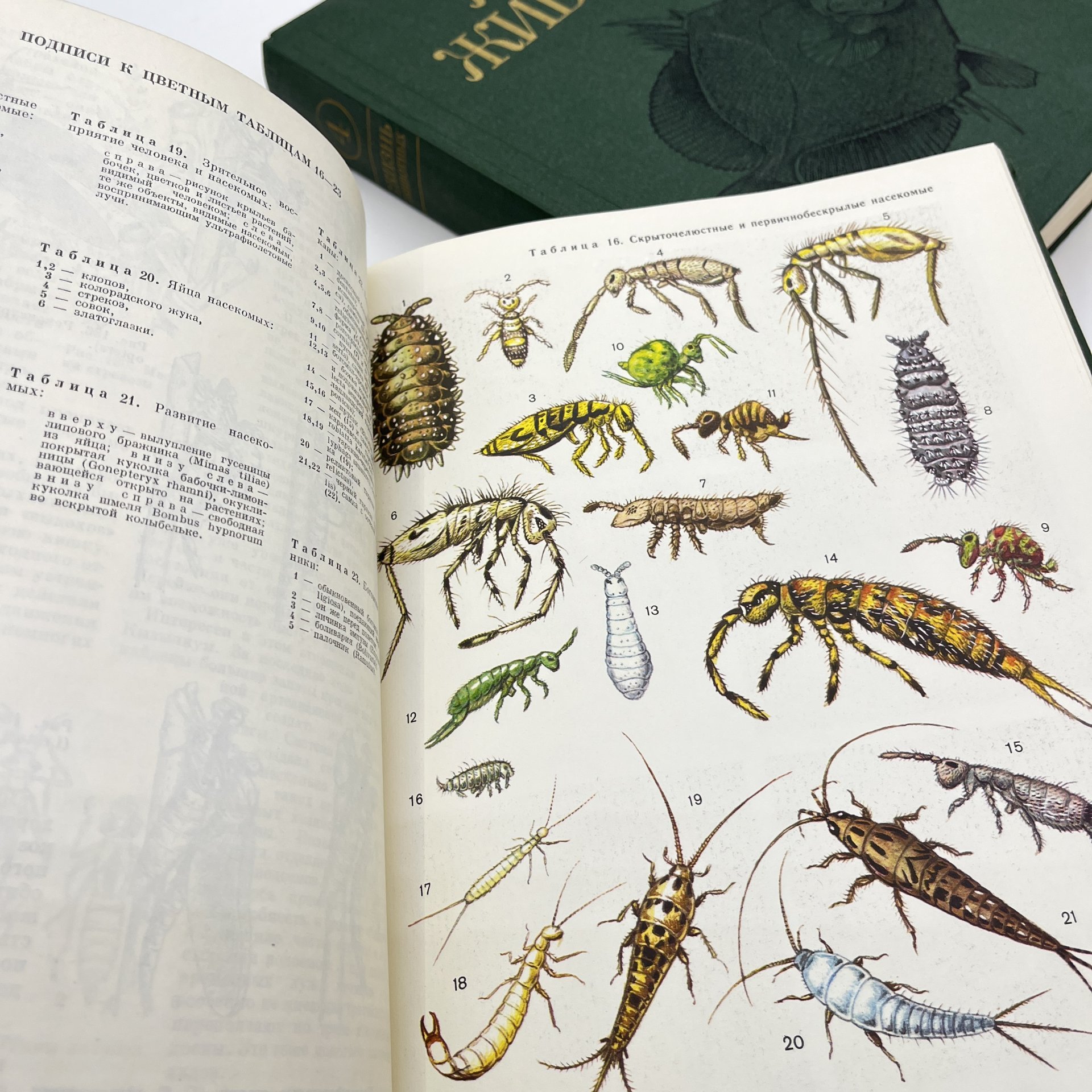 Книга "Жизнь животных", тома 3, 4, бумага, печать, Издательство «Просвещение», СССР, 1983-1984 гг.