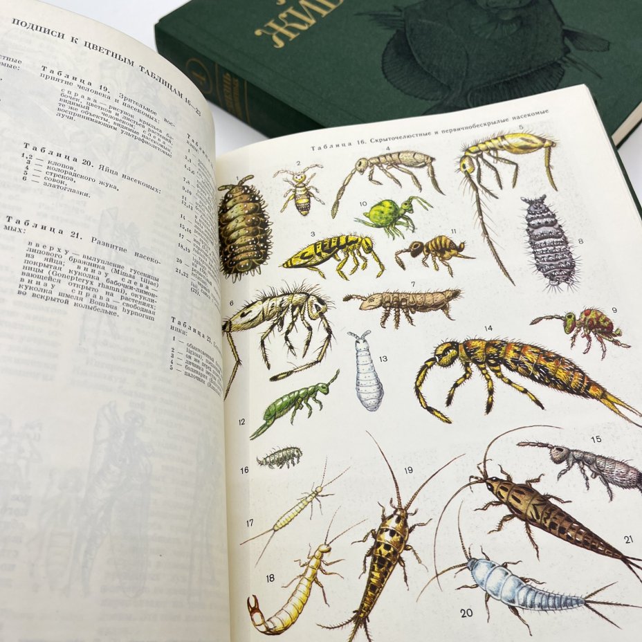 Книга "Жизнь животных", тома 3, 4, бумага, печать, Издательство «Просвещение», СССР, 1983-1984 гг.