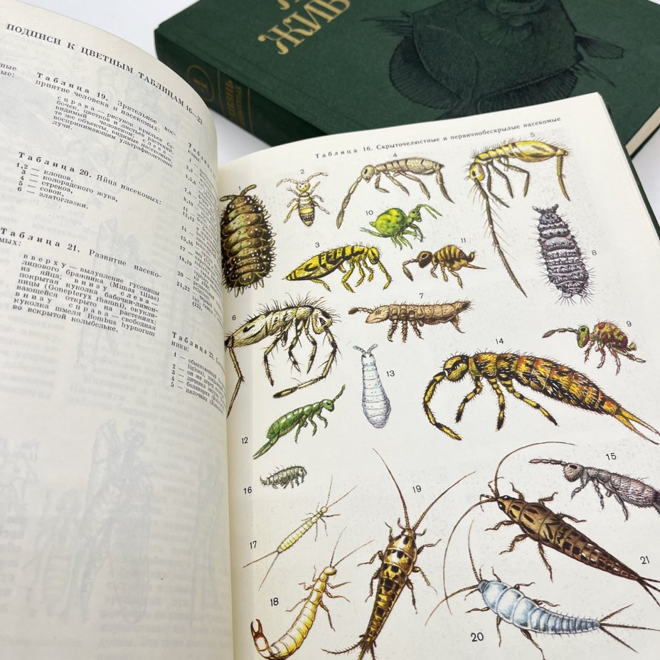 Книга "Жизнь животных", тома 3, 4, бумага, печать, Издательство «Просвещение», СССР, 1983-1984 гг.