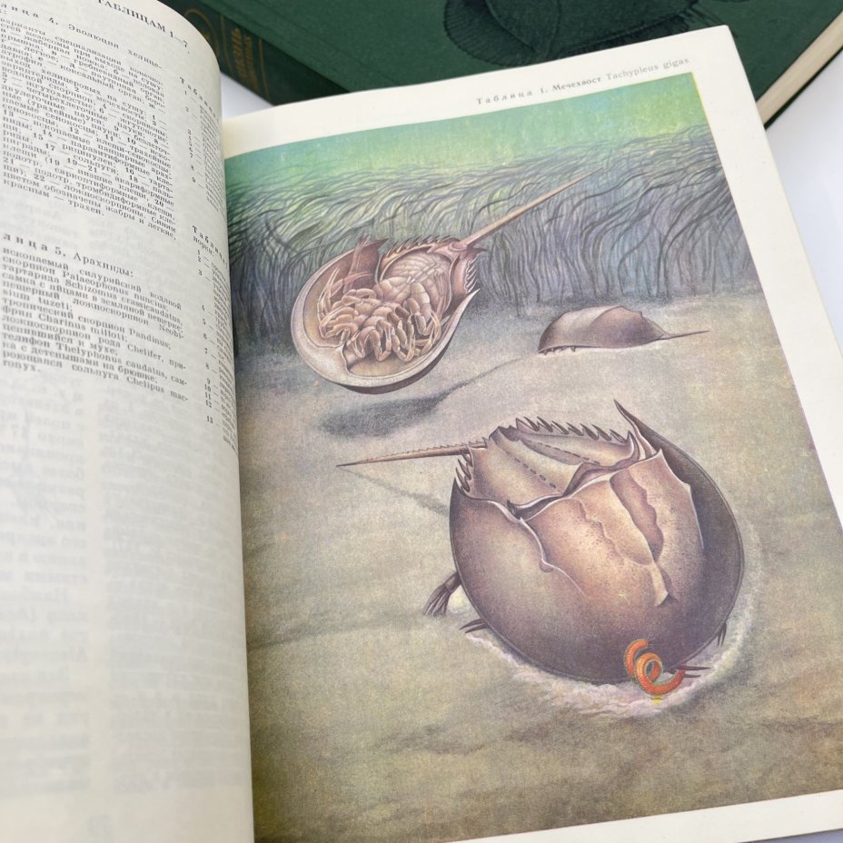 Книга "Жизнь животных", тома 3, 4, Издательство «Просвещение»