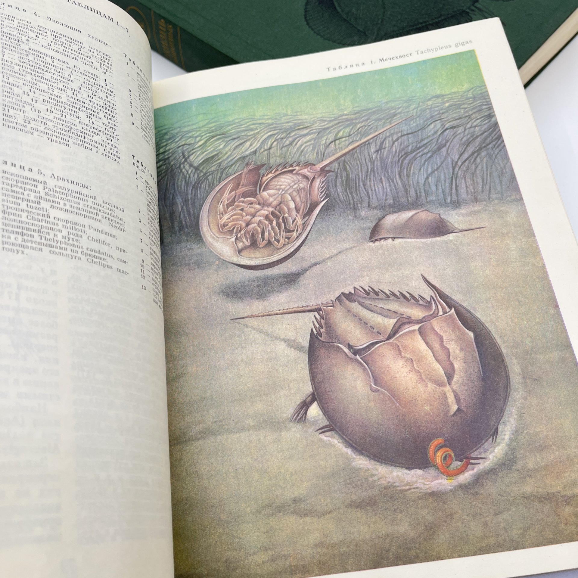 Книга "Жизнь животных", тома 3, 4, Издательство «Просвещение»