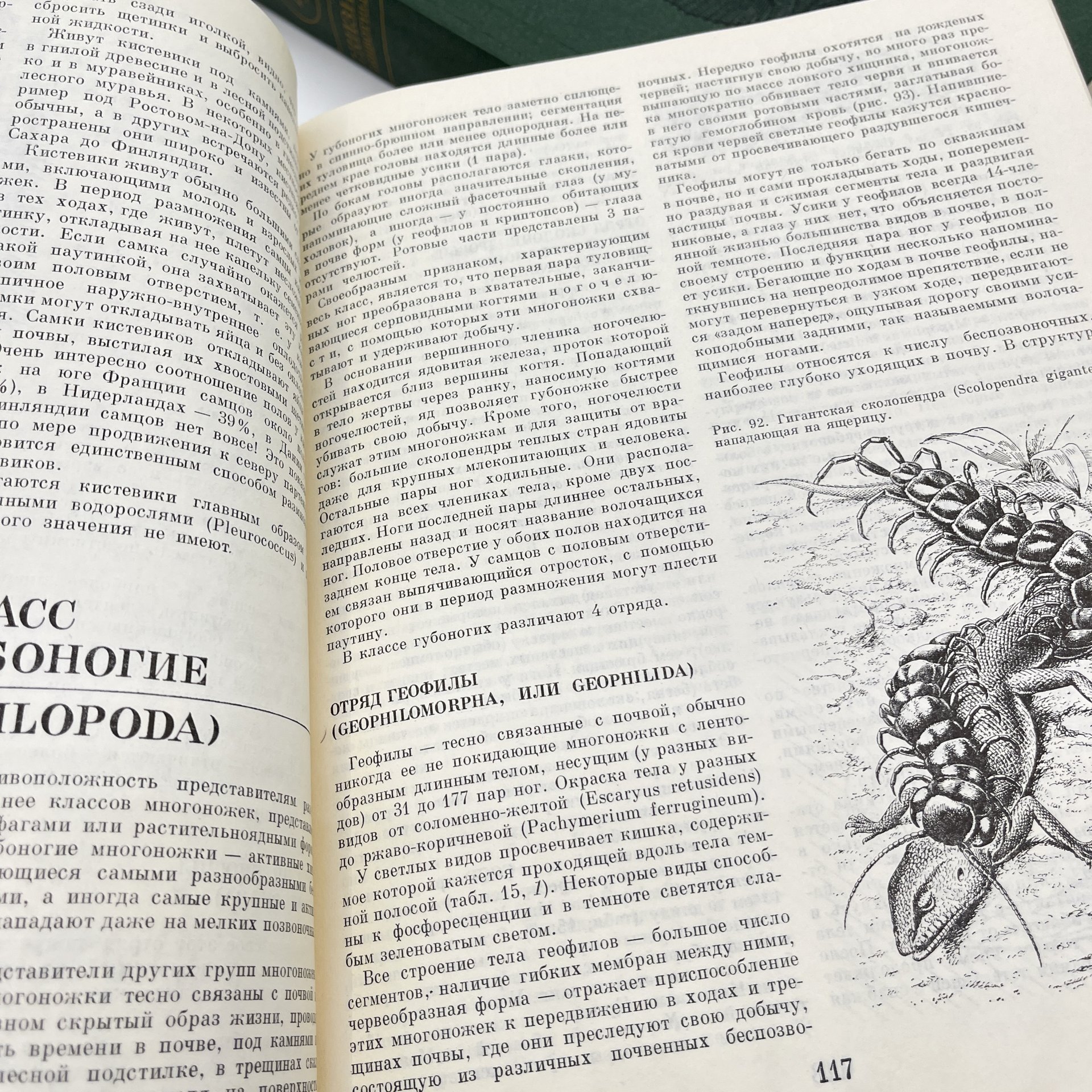 Книга "Жизнь животных", тома 3, 4, Издательство «Просвещение»