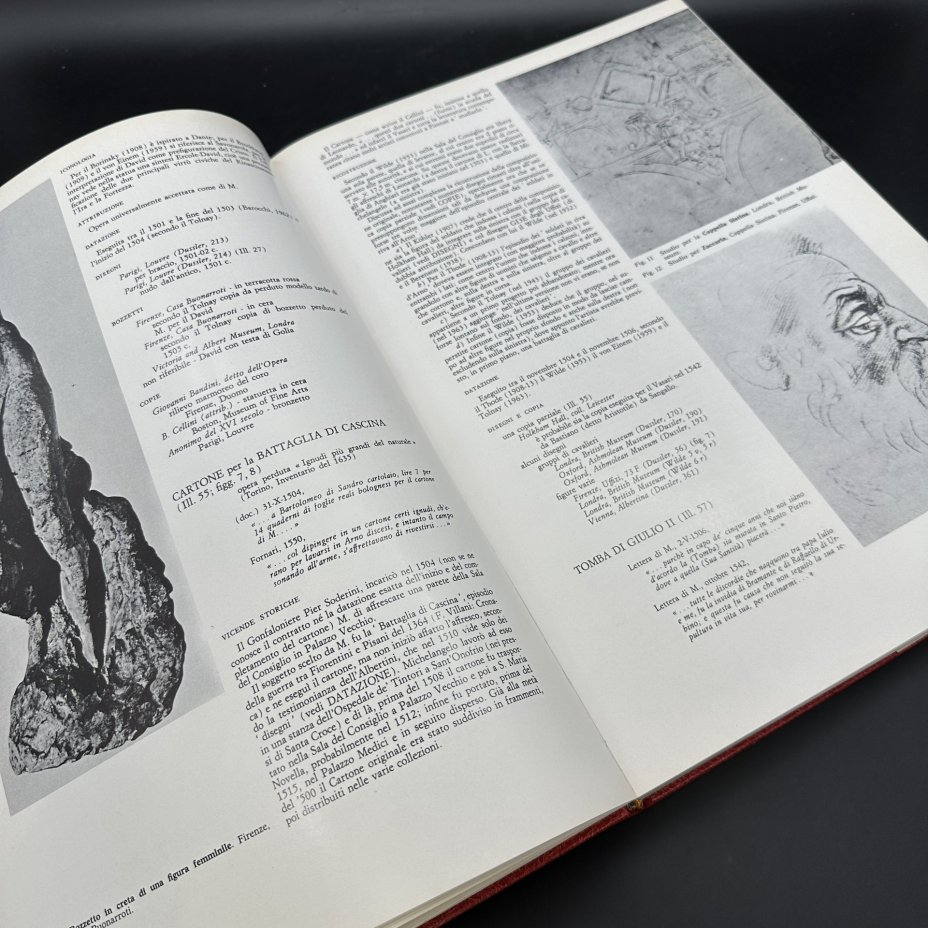 Книга "Michelangelo. Architettura. Sculptura. Pittura" (на итальянском)