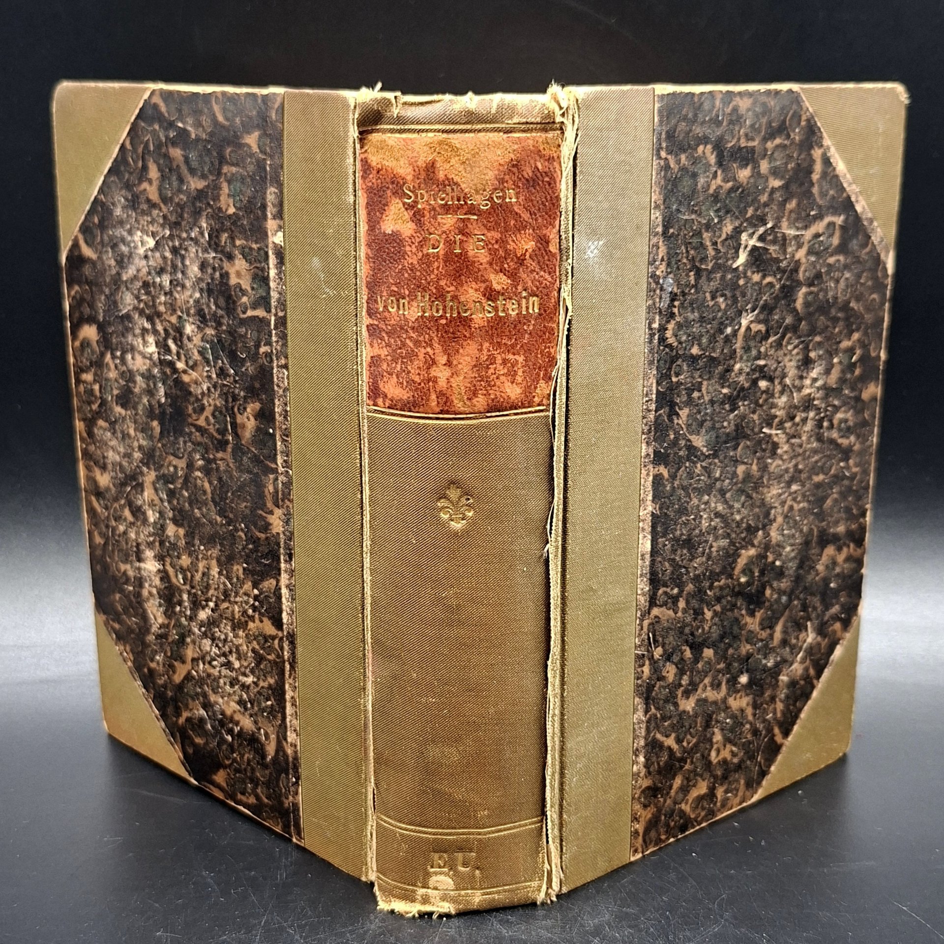 Книга "Die von Hohenstein" ("Фон Гогенштайн"), автор Friedrich Spielhagen, том 2
