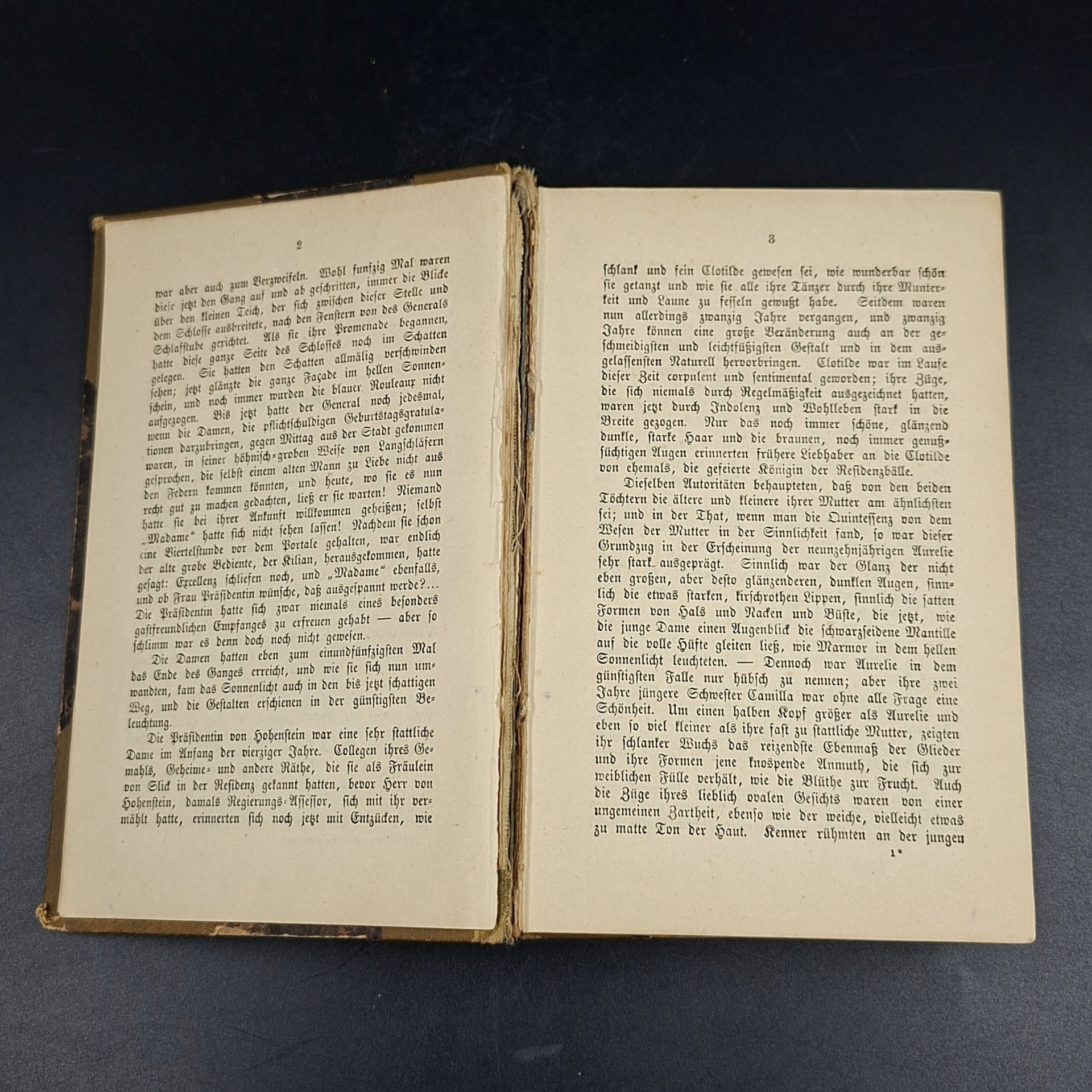 Книга "Die von Hohenstein" ("Фон Гогенштайн"), автор Friedrich Spielhagen, том 2