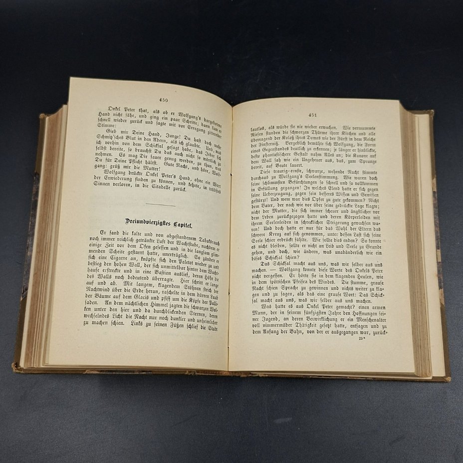 Книга "Die von Hohenstein" ("Фон Гогенштайн"), автор Friedrich Spielhagen, том 2