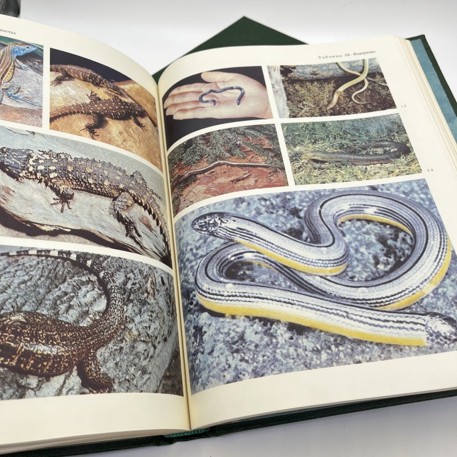 Книга "Жизнь животных", тома 5, 6, бумага, печать, Издательство «Просвещение», СССР, 1985-1986 гг.